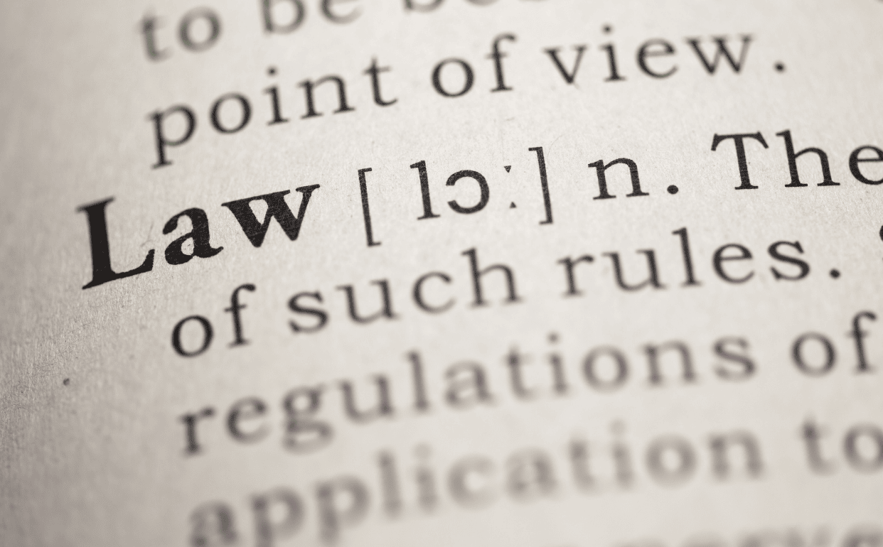 Mythos «strengstes Tierschutzgesetz der Welt» - wo die Schweiz beim Tierwohl versagt