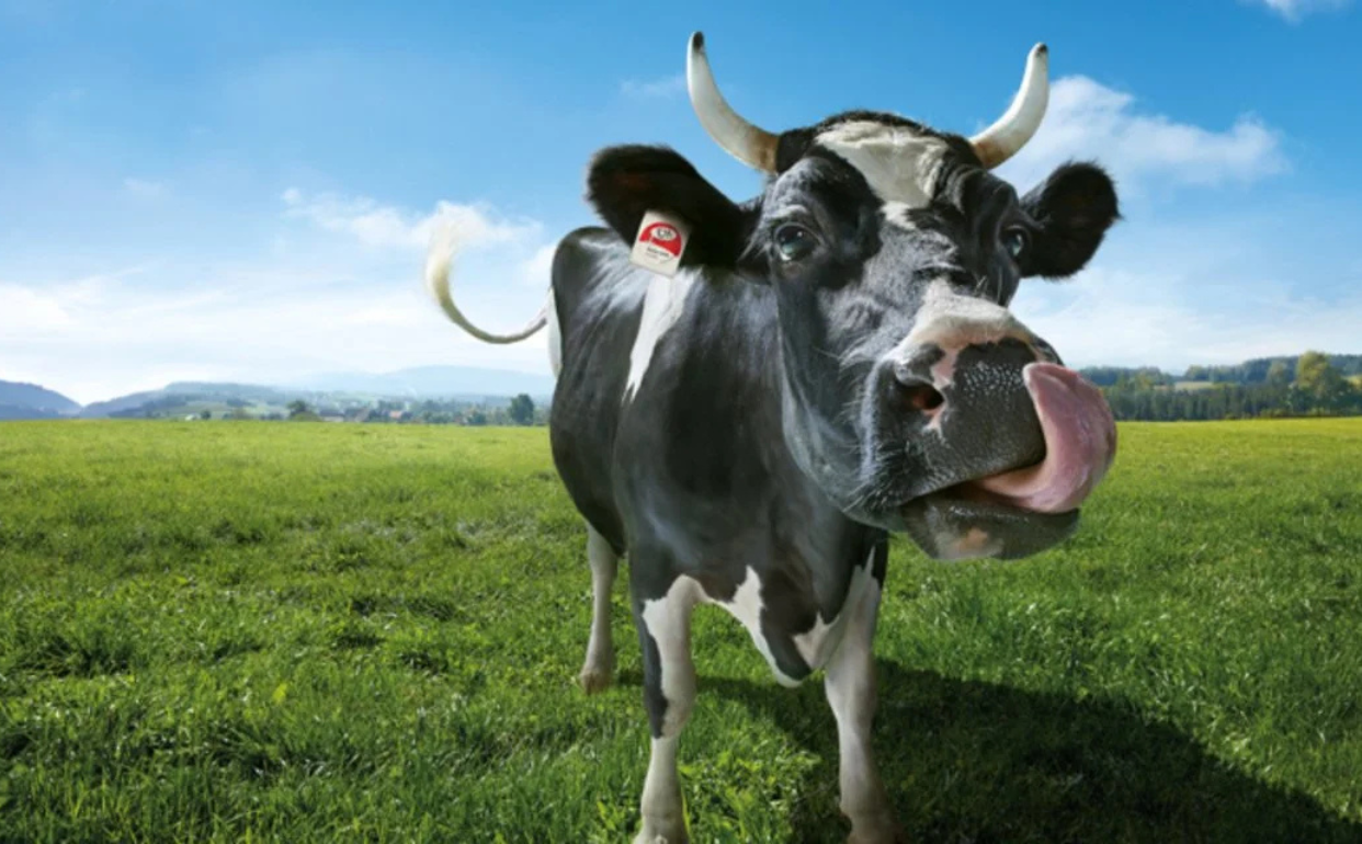 Wie Werbung unsere Kaufentscheidungen beeinflusst