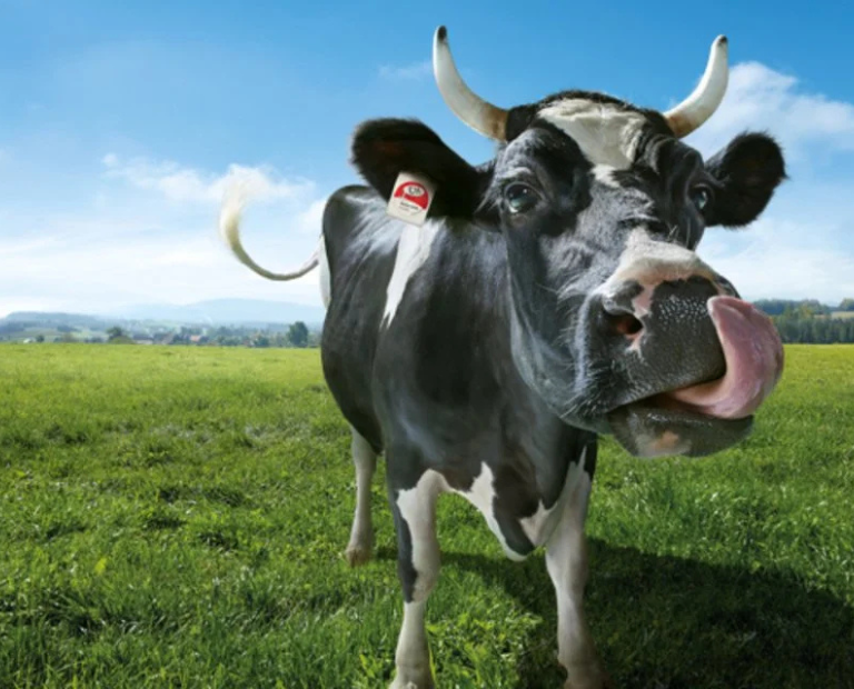  Wie Werbung unsere Kaufentscheidungen beeinflusst